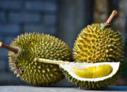 Rasakan Manisnya Durian Bersama Keluarga dalam Mimpi