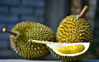 Rasakan Manisnya Durian Bersama Keluarga dalam Mimpi