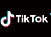 Dorongan Kreatifitas Bersama TikTok 18+ Download APK