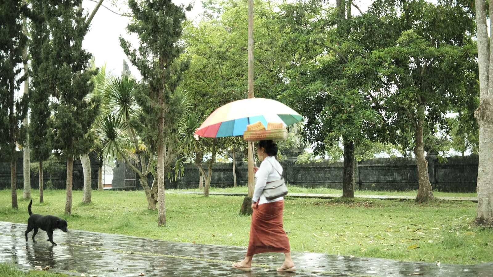 Mengeksplorasi Dunia Rejeki Telekomunikasi Orang Kaya: Temukan Siapa yang Membuat Hatimu Terpikat!